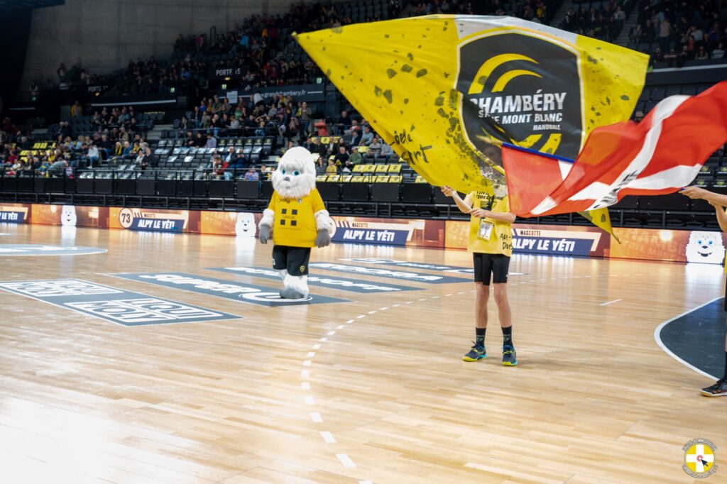 Team Chambéry handball / Sélestat le 01/04/2023